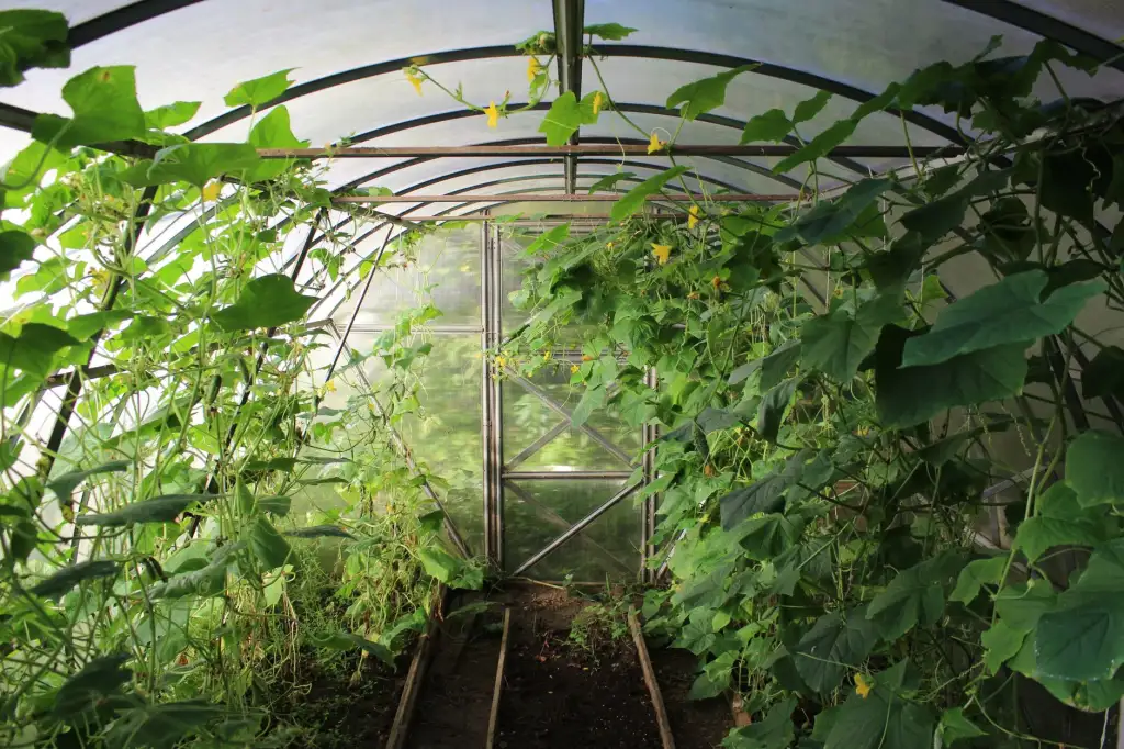 高校实验室离心机选型指南:转速与容量的科学匹配方案